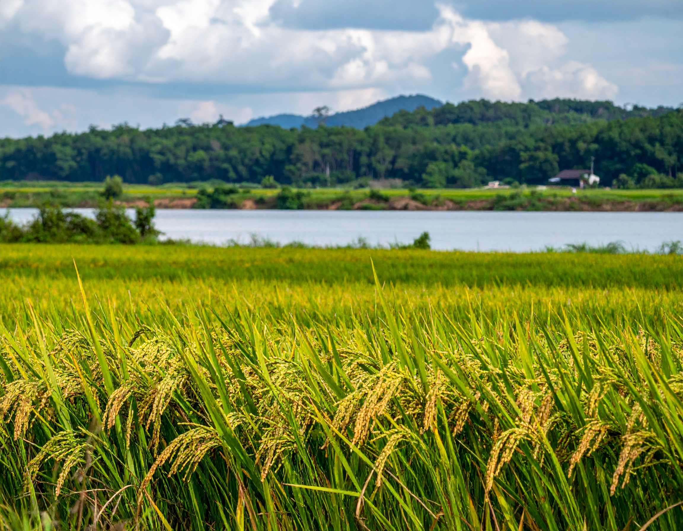 メインビジュアル1