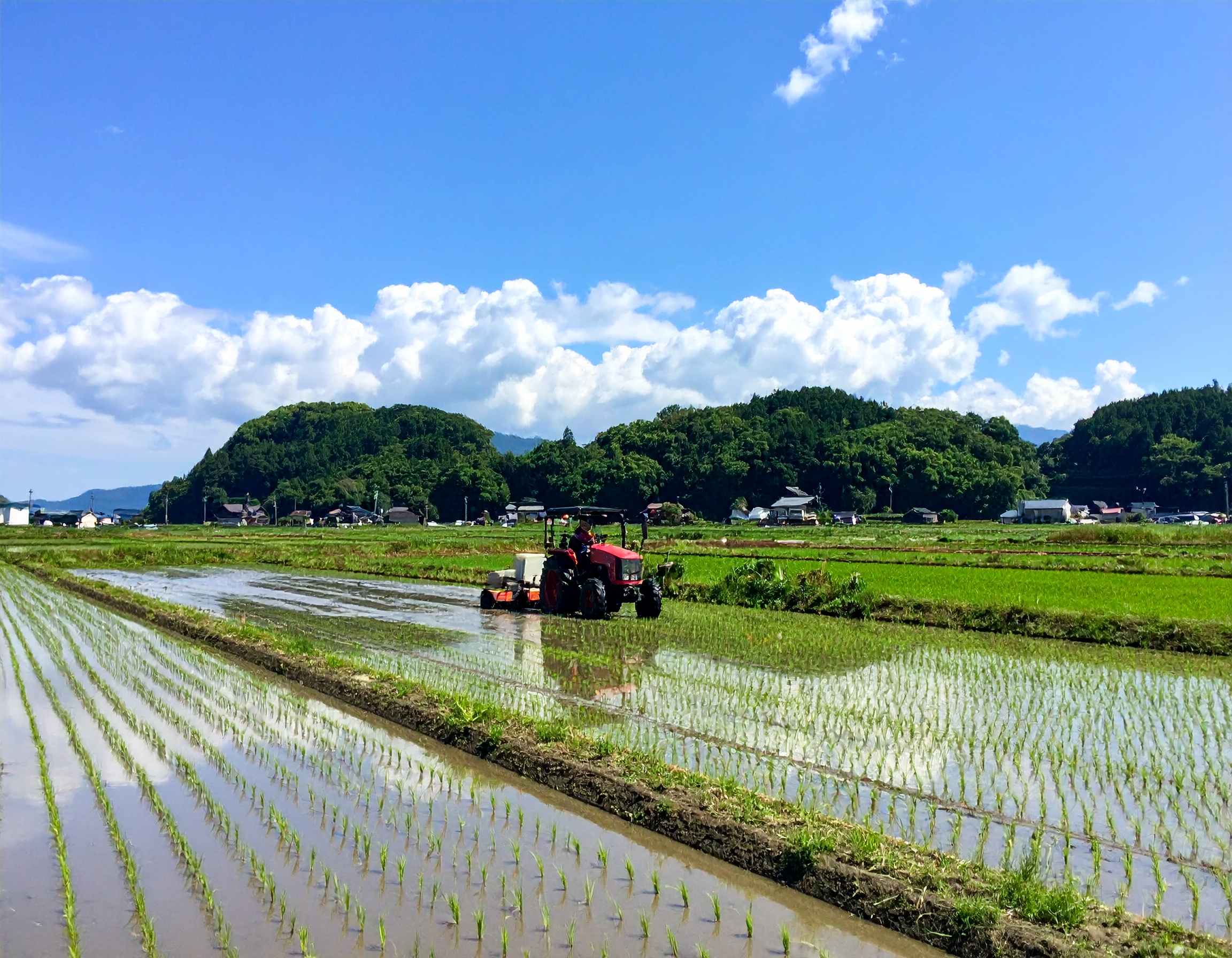 今年も田植えの季節がやってきました
