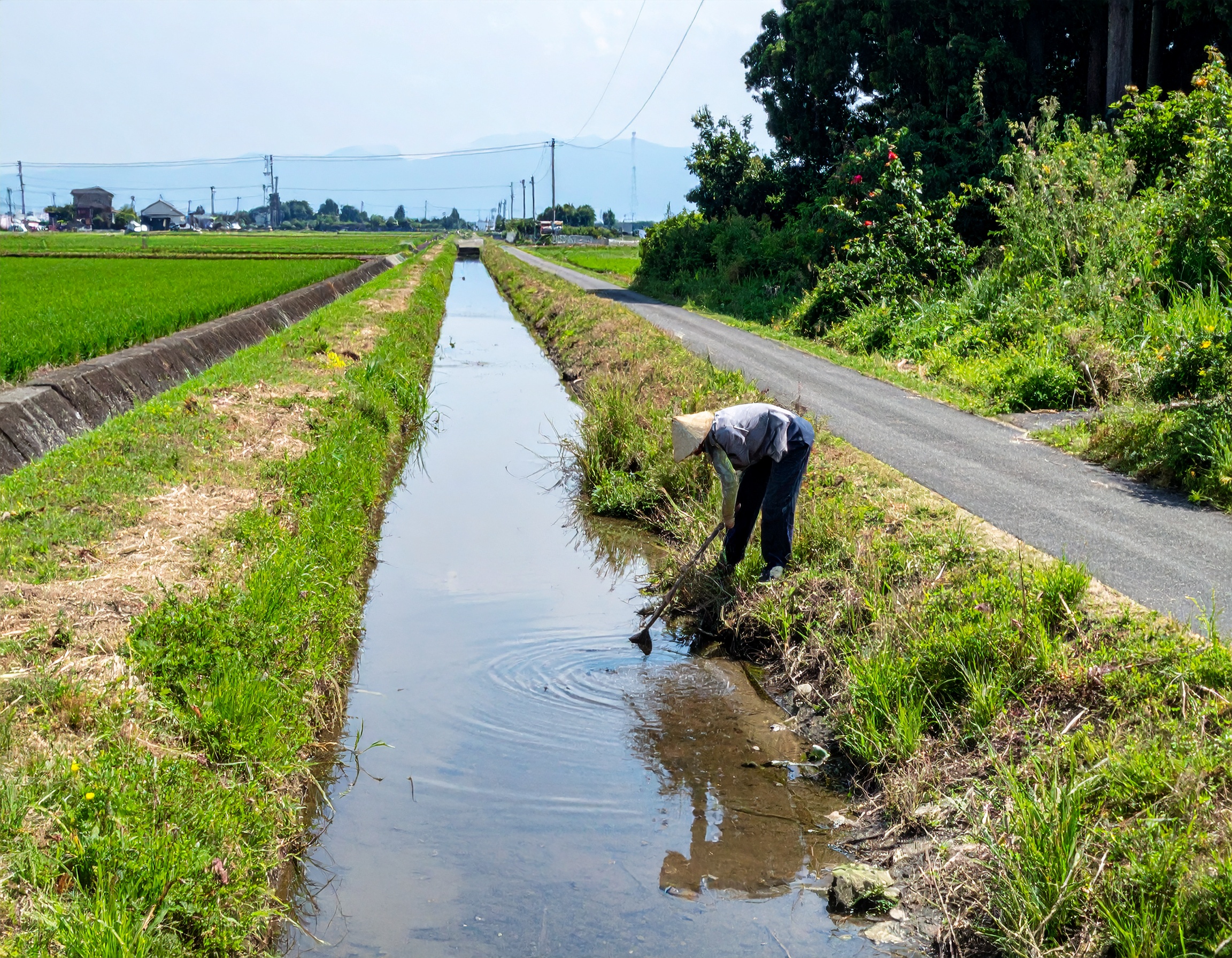 地域の水路清掃に参加しました